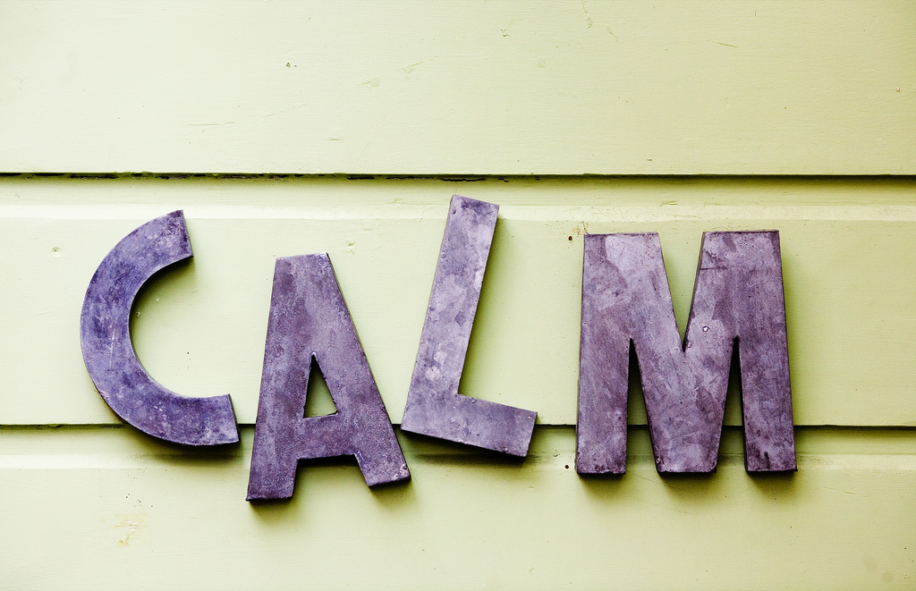 calm-words-ii-in-2021-canvas-prints-hand-lettering-art