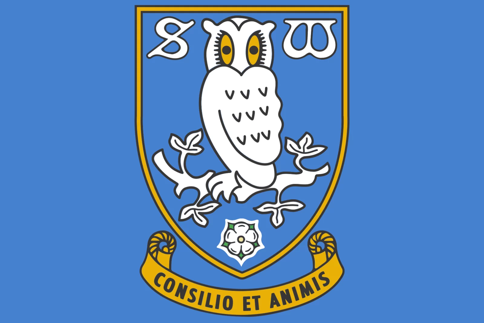 3rd-in-the-championship-this-25-year-old-sheffield-wednesday-man-is